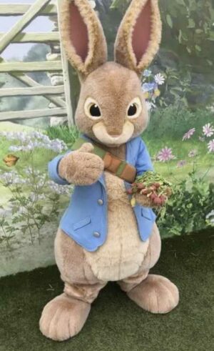 costume de lapin de Pâques en location WeLocation Vendée