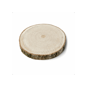 rondin de bois en location WeLocation Vendée